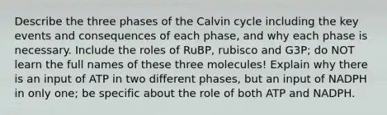 Describe the three phases of the Calvin cycle including the key events and consequences of each phase, and why each phase is necessary. Include the roles of RuBP, rubisco and G3P; do NOT learn the full names of these three molecules! Explain why there is an input of ATP in two different phases, but an input of NADPH in only one; be specific about the role of both ATP and NADPH.