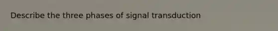 Describe the three phases of signal transduction