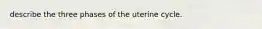 describe the three phases of the uterine cycle.