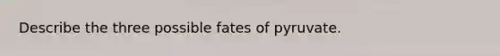 Describe the three possible fates of pyruvate.