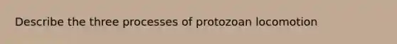 Describe the three processes of protozoan locomotion