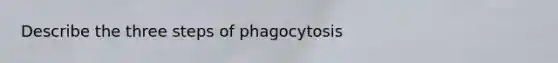 Describe the three steps of phagocytosis