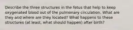 Describe the three structures in the fetus that help to keep oxygenated blood out of the pulmonary circulation. What are they and where are they located? What happens to these structures (at least, what should happen) after birth?