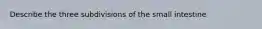 Describe the three subdivisions of the small intestine