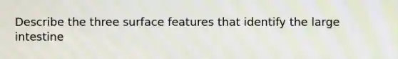 Describe the three surface features that identify the large intestine