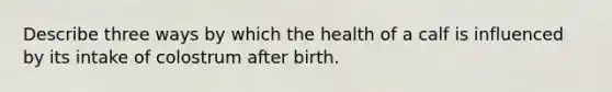 Describe three ways by which the health of a calf is influenced by its intake of colostrum after birth.