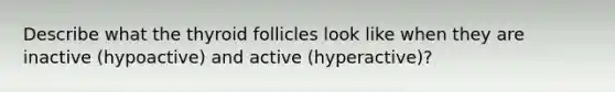 Describe what the thyroid follicles look like when they are inactive (hypoactive) and active (hyperactive)?