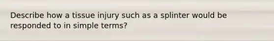 Describe how a tissue injury such as a splinter would be responded to in simple terms?