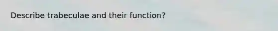 Describe trabeculae and their function?