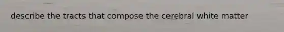 describe the tracts that compose the cerebral white matter