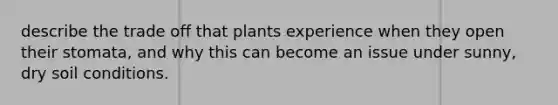 describe the trade off that plants experience when they open their stomata, and why this can become an issue under sunny, dry soil conditions.