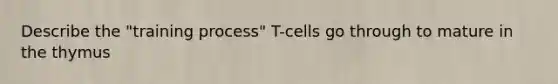 Describe the "training process" T-cells go through to mature in the thymus