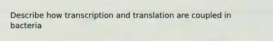 Describe how transcription and translation are coupled in bacteria