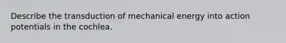 Describe the transduction of mechanical energy into action potentials in the cochlea.