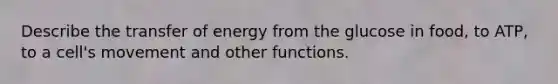 Describe the transfer of energy from the glucose in food, to ATP, to a cell's movement and other functions.