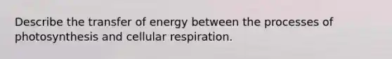 Describe the transfer of energy between the processes of photosynthesis and cellular respiration.