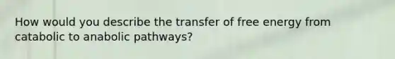 How would you describe the transfer of free energy from catabolic to anabolic pathways?