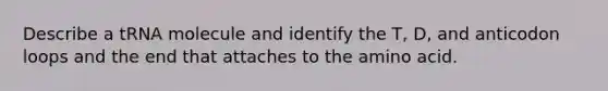 Describe a tRNA molecule and identify the T, D, and anticodon loops and the end that attaches to the amino acid.