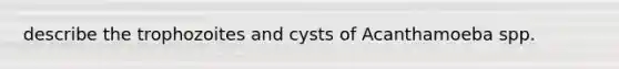 describe the trophozoites and cysts of Acanthamoeba spp.