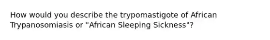 How would you describe the trypomastigote of African Trypanosomiasis or "African Sleeping Sickness"?