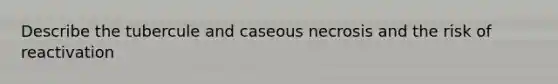 Describe the tubercule and caseous necrosis and the risk of reactivation