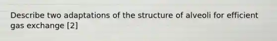 Describe two adaptations of the structure of alveoli for efficient gas exchange [2]