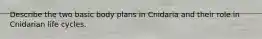 Describe the two basic body plans in Cnidaria and their role in Cnidarian life cycles.