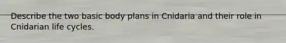 Describe the two basic body plans in Cnidaria and their role in Cnidarian life cycles.