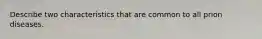 Describe two characteristics that are common to all prion diseases.