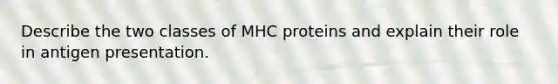 Describe the two classes of MHC proteins and explain their role in antigen presentation.