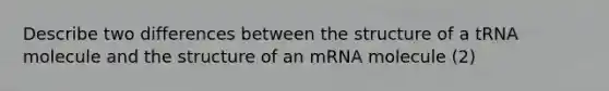 Describe two differences between the structure of a tRNA molecule and the structure of an mRNA molecule (2)