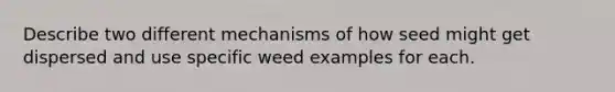 Describe two different mechanisms of how seed might get dispersed and use specific weed examples for each.