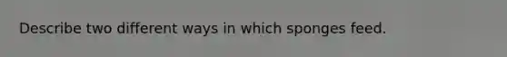 Describe two different ways in which sponges feed.