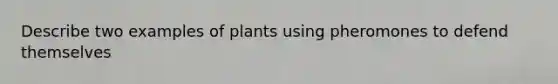 Describe two examples of plants using pheromones to defend themselves