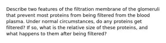 Describe two features of the filtration membrane of the glomeruli that prevent most proteins from being filtered from the blood plasma. Under normal circumstances, do any proteins get filtered? If so, what is the relative size of these proteins, and what happens to them after being filtered?