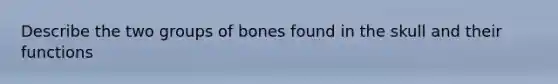 Describe the two groups of bones found in the skull and their functions