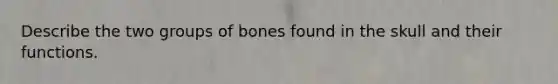 Describe the two groups of bones found in the skull and their functions.