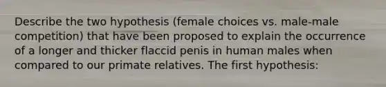 Describe the two hypothesis (female choices vs. male-male competition) that have been proposed to explain the occurrence of a longer and thicker flaccid penis in human males when compared to our primate relatives. The first hypothesis: