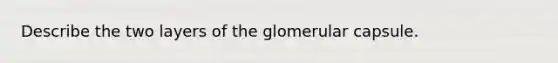 Describe the two layers of the glomerular capsule.