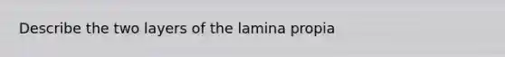 Describe the two layers of the lamina propia