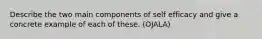 Describe the two main components of self efficacy and give a concrete example of each of these. (OJALA)