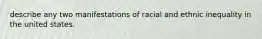 describe any two manifestations of racial and ethnic inequality in the united states.