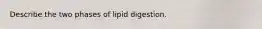 Describe the two phases of lipid digestion.