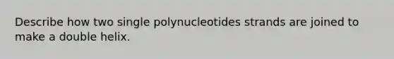 Describe how two single polynucleotides strands are joined to make a double helix.