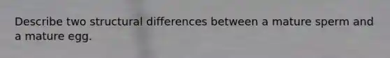 Describe two structural differences between a mature sperm and a mature egg.