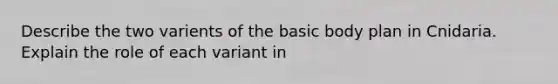 Describe the two varients of the basic body plan in Cnidaria. Explain the role of each variant in