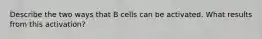 Describe the two ways that B cells can be activated. What results from this activation?