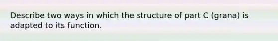 Describe two ways in which the structure of part C (grana) is adapted to its function.