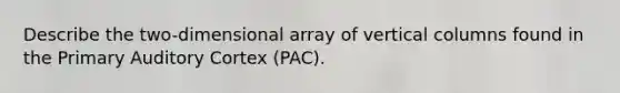 Describe the two-dimensional array of vertical columns found in the Primary Auditory Cortex (PAC).