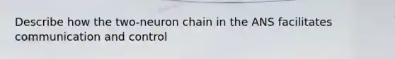 Describe how the two-neuron chain in the ANS facilitates communication and control